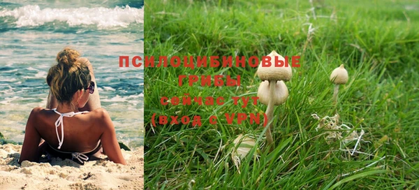 apvp Абинск