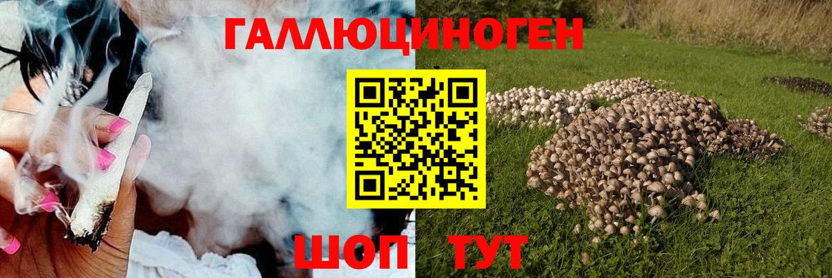 Карталы  наркотики  Вход с VPN  Псилоцибиновые грибы мухоморы 